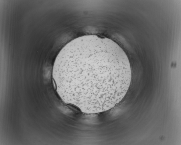 X0000101230576200807251137