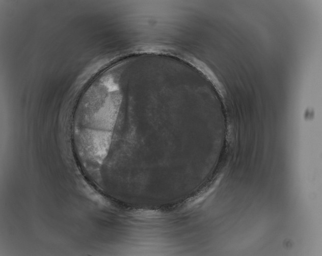 X0000101230577200807251136