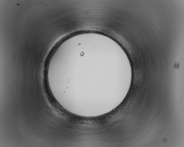 X0000101230580200807251136