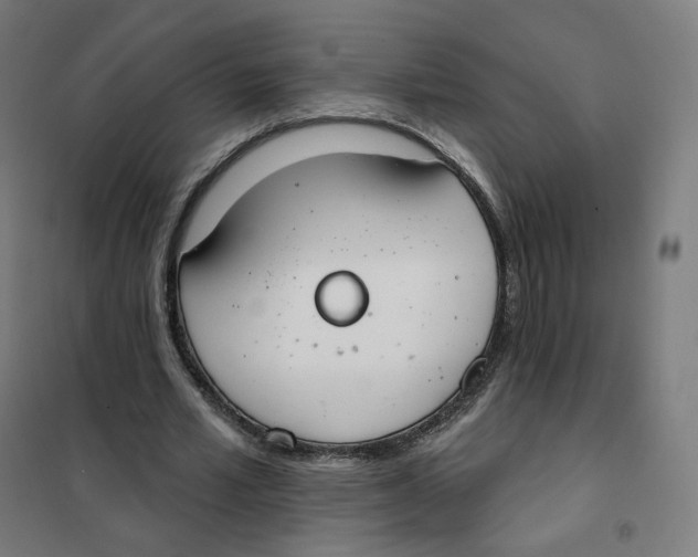 X0000101230581200807251136