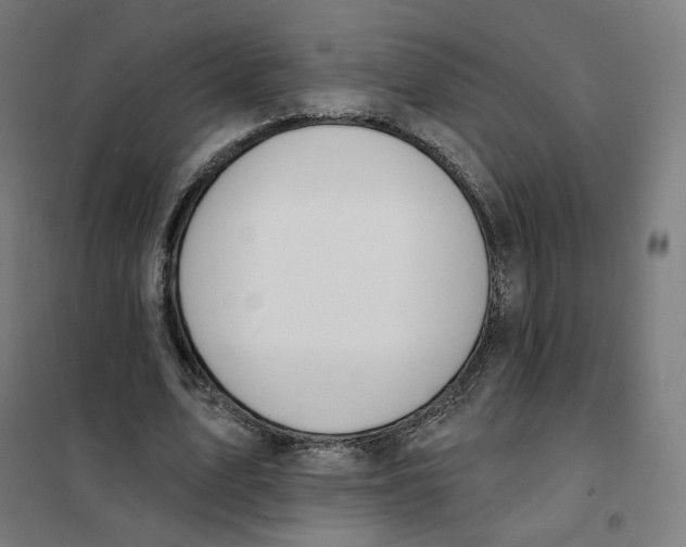 X0000101230583200807251136