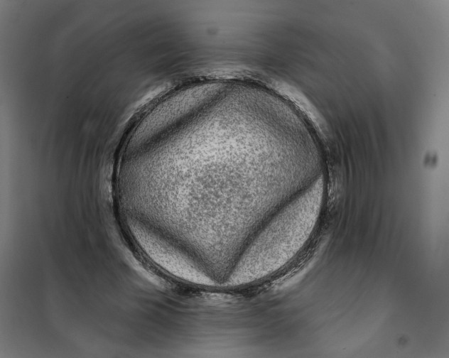 X0000101230585200807251136
