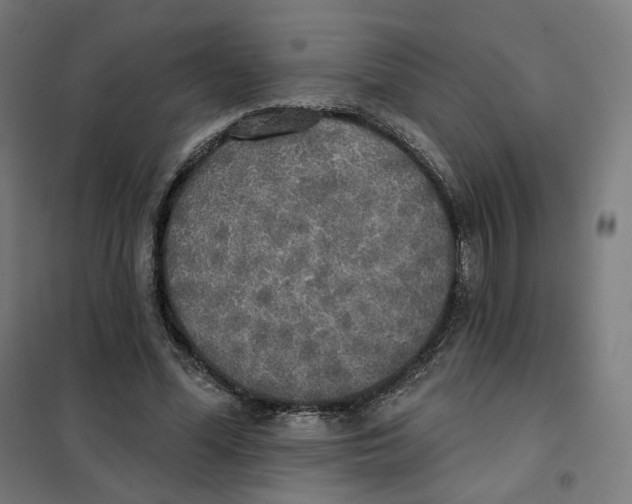 X0000101230588200807251136