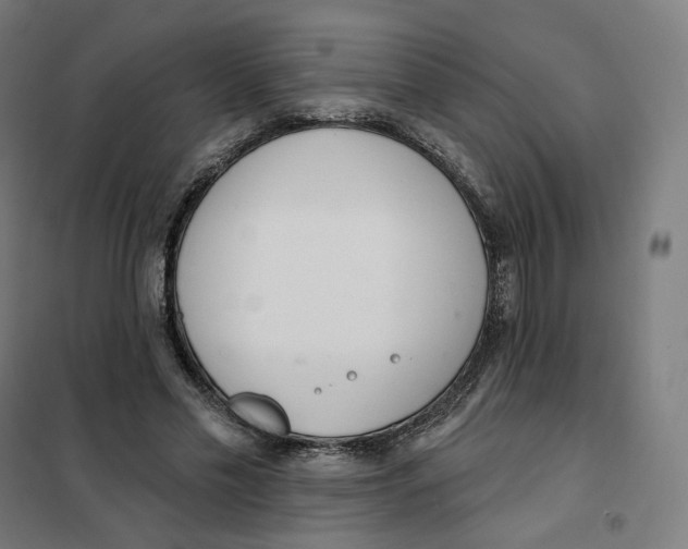 X0000101230589200807251136