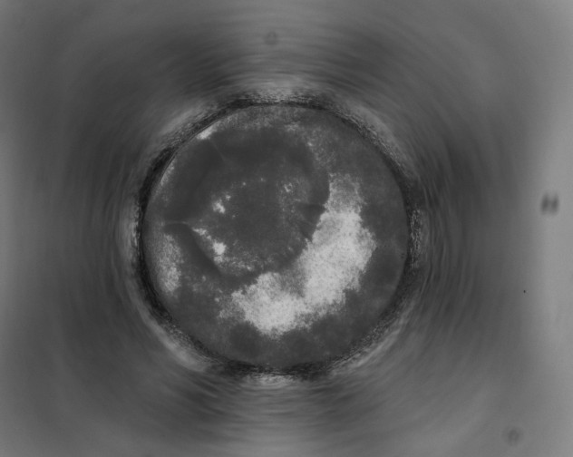 X0000101230590200807251136