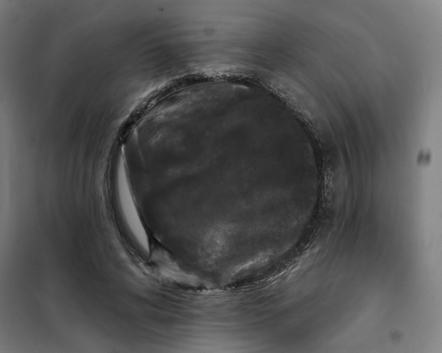 X0000101230592200807251136