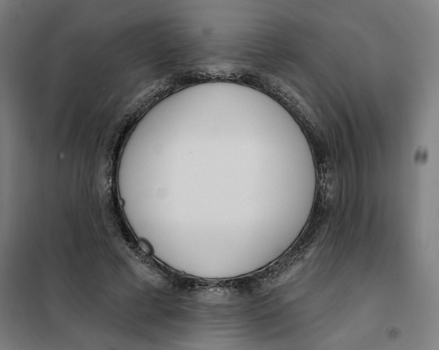 X0000101230593200807251136