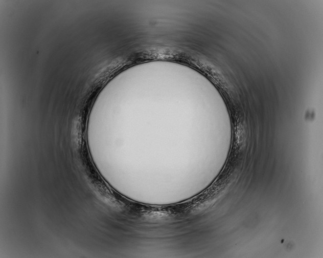 X0000101230594200807251136