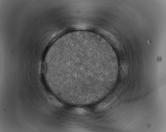X0000101230596200807251136