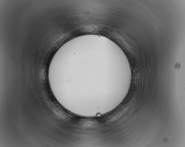 X0000101230597200807251136