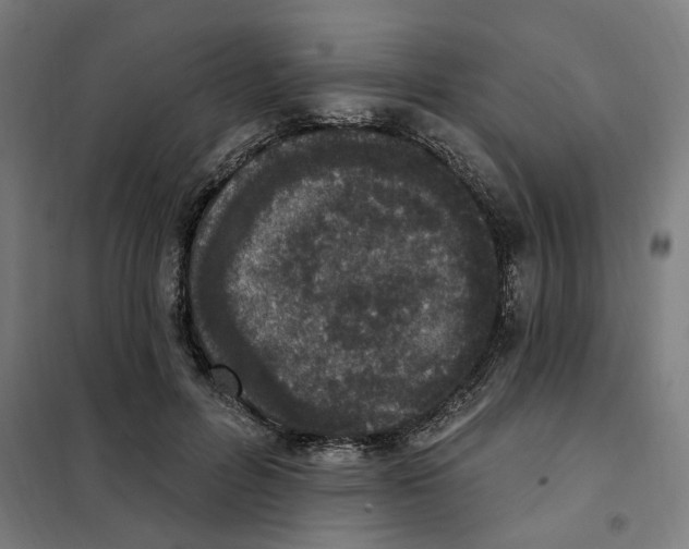 X0000101230600200807251136