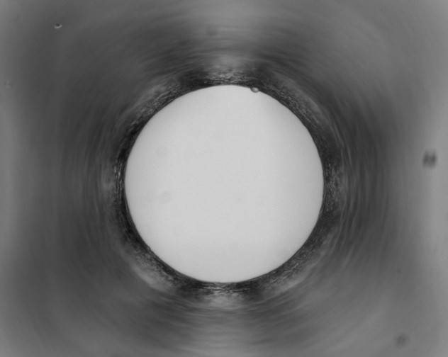 X0000101230601200807251136