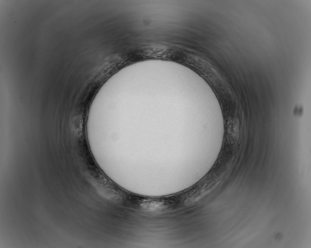 X0000101230602200807251136