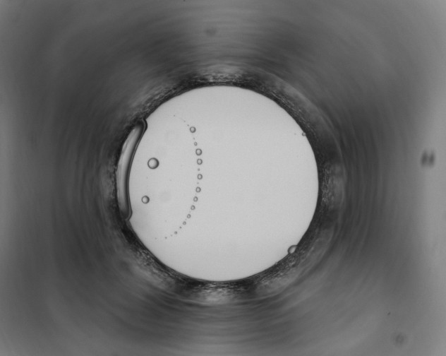 X0000101230604200807251136