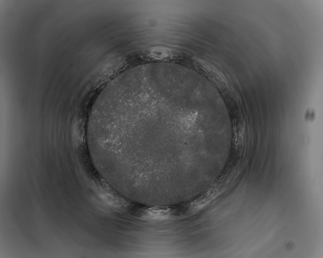 X0000101230606200807251136