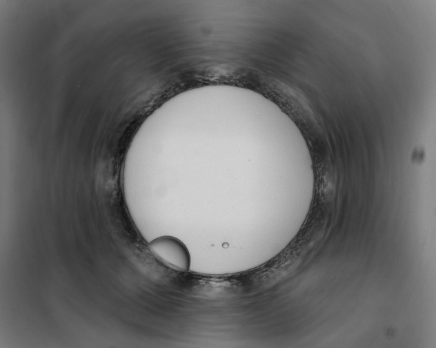 X0000101230607200807251136