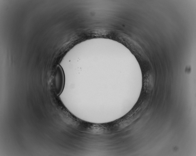 X0000101230608200807251136
