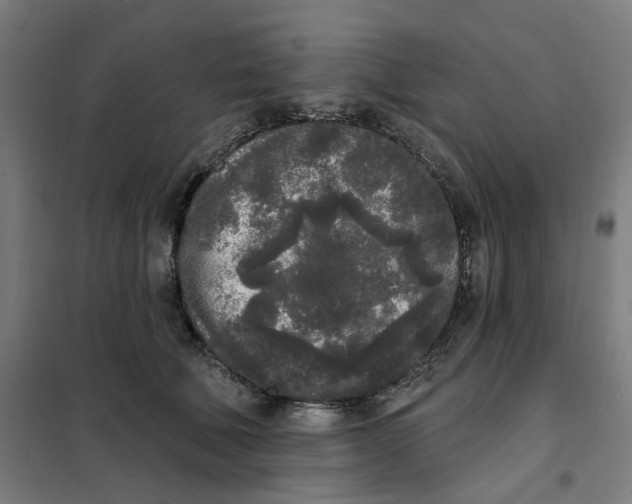 X0000101230610200807251136