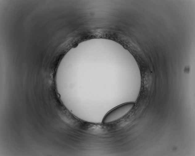 X0000101230611200807251136