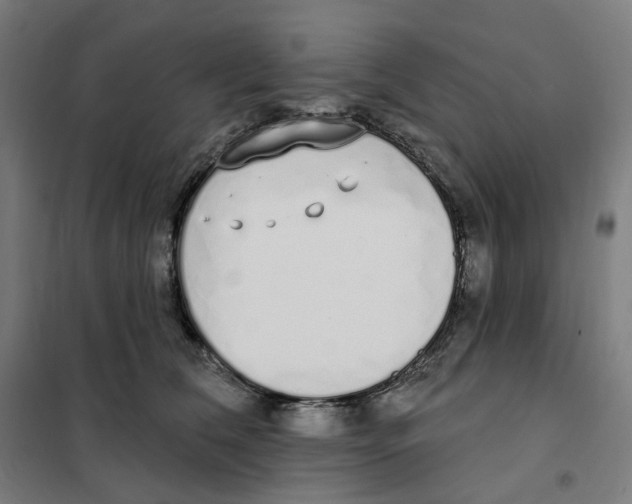 X0000101230612200807251136