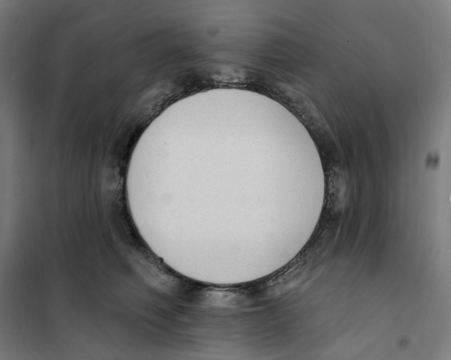 X0000101230614200807251136