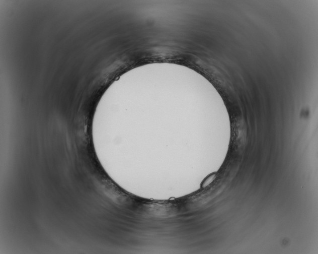 X0000101230615200807251136