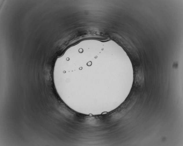 X0000101230616200807251136