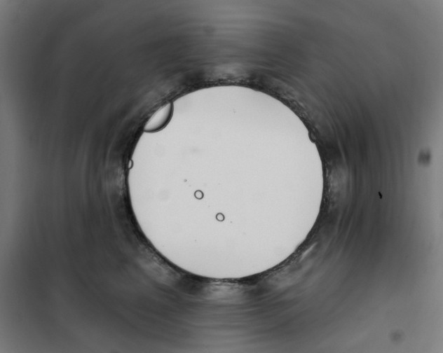 X0000101230617200807251136