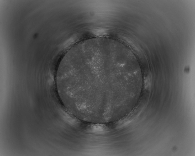 X0000101230618200807251135