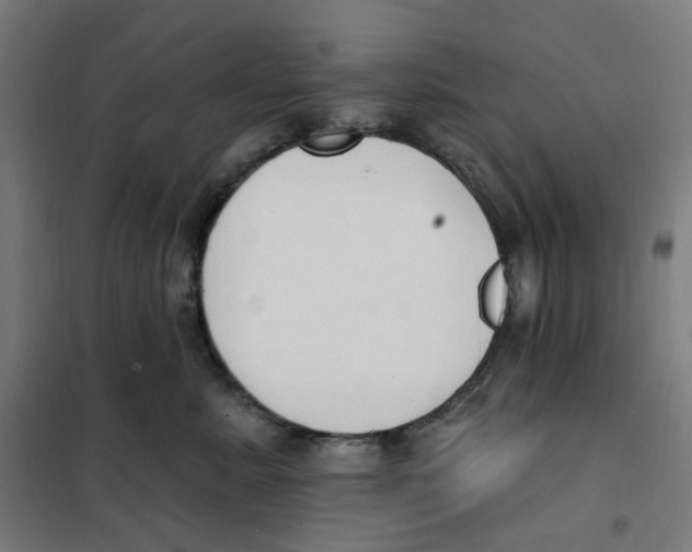 X0000101230619200807251135