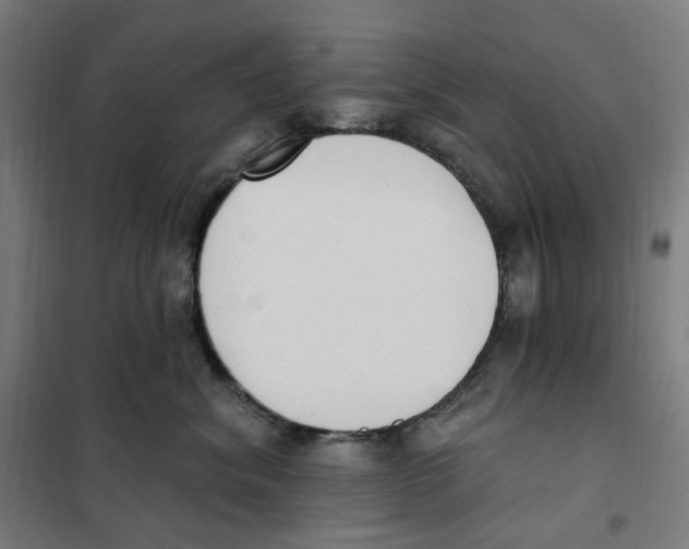 X0000101230620200807251135