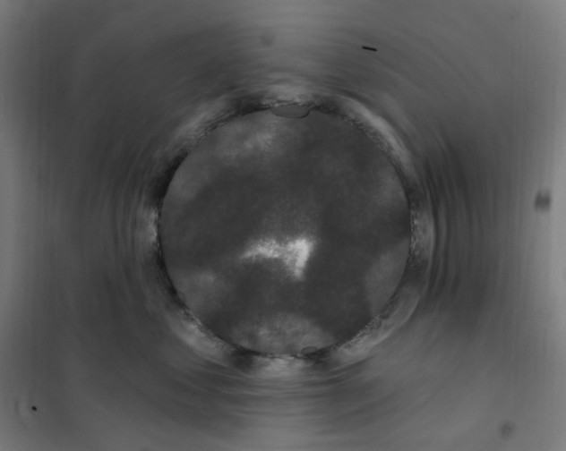 X0000101230621200807251135