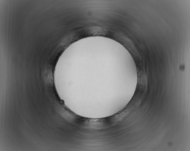 X0000101230622200807251135