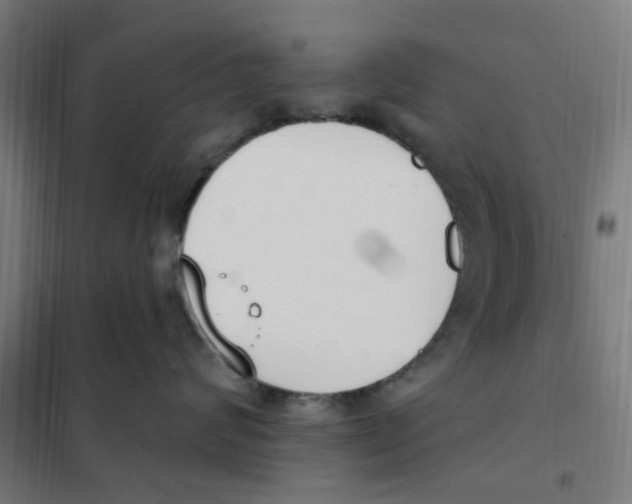 X0000101230624200807251135