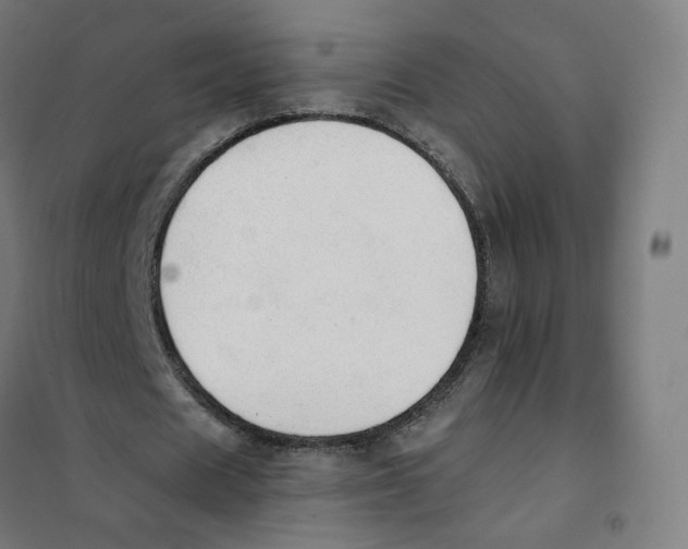 X0000101230625200807251135