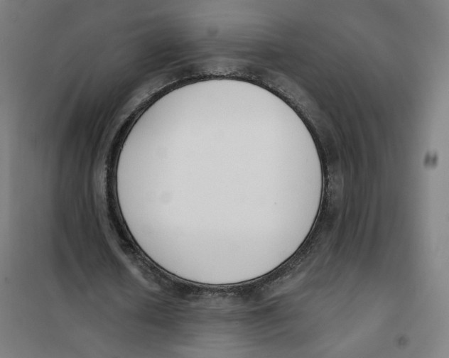 X0000101230626200807251135