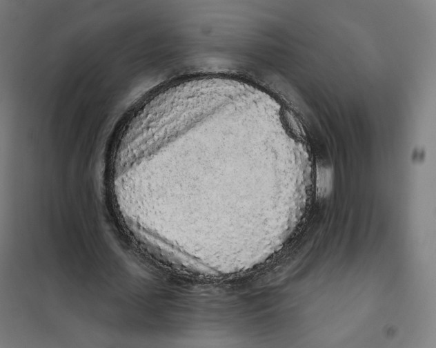 X0000101230627200807251135