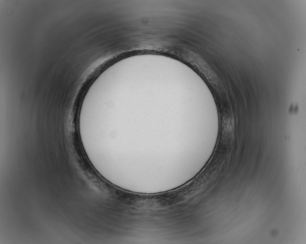 X0000101230628200807251135
