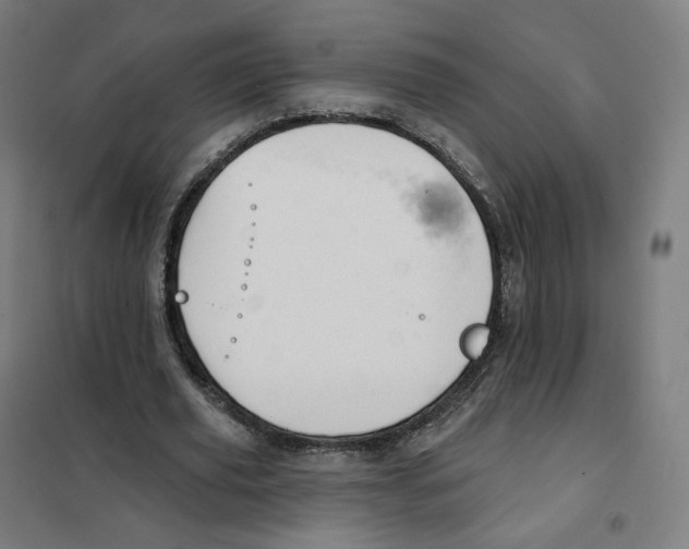 X0000101230629200807251135