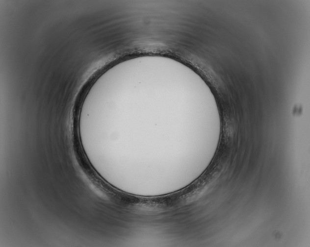 X0000101230630200807251135