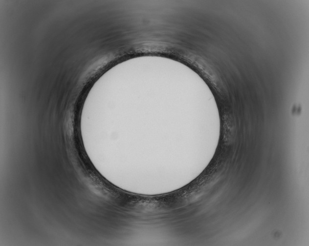 X0000101230631200807251135