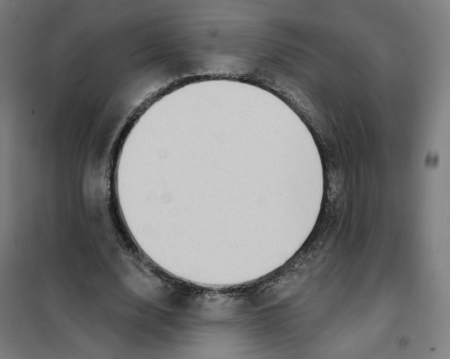 X0000101230632200807251135