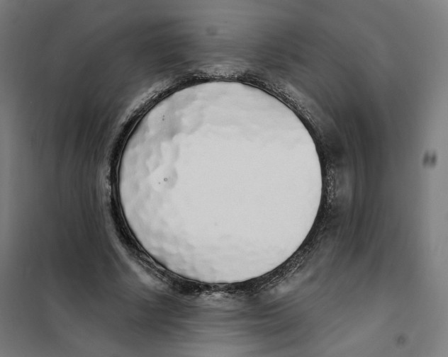 X0000101230634200807251135
