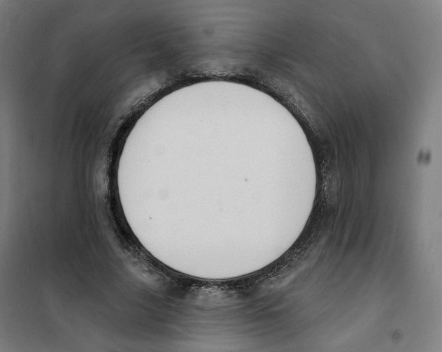 X0000101230635200807251135