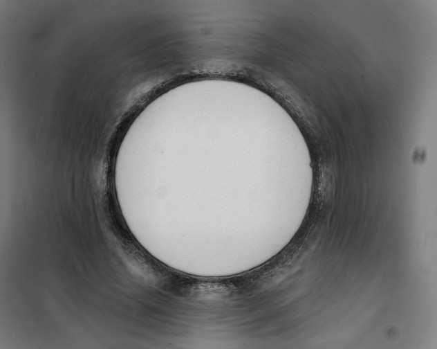 X0000101230636200807251135