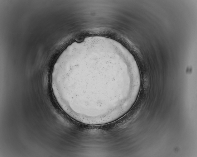X0000101230637200807251135