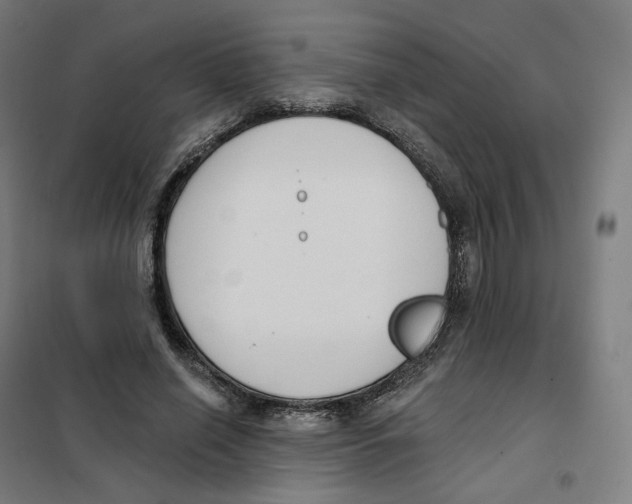 X0000101230638200807251135