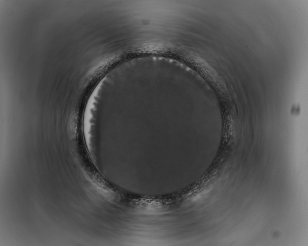 X0000101230640200807251135
