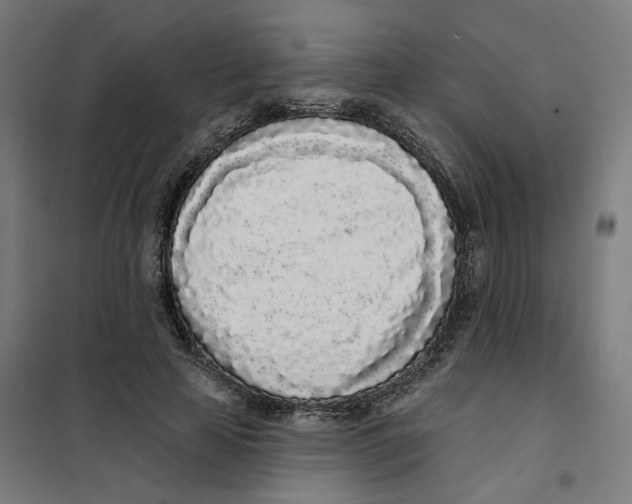 X0000101230641200807251135