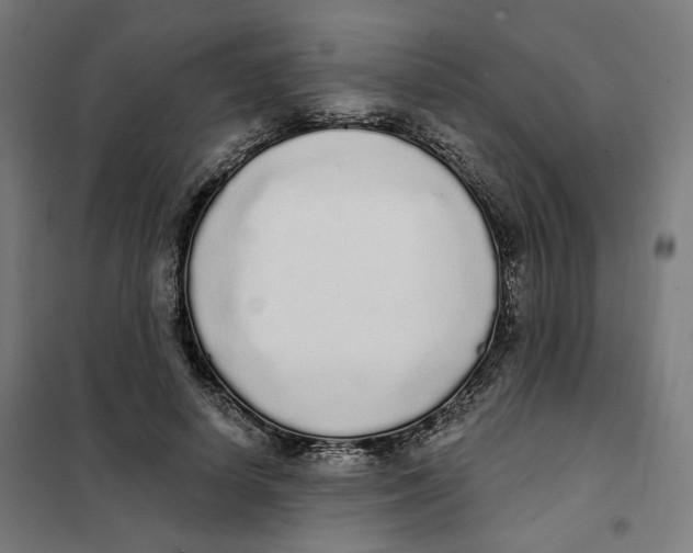 X0000101230642200807251135